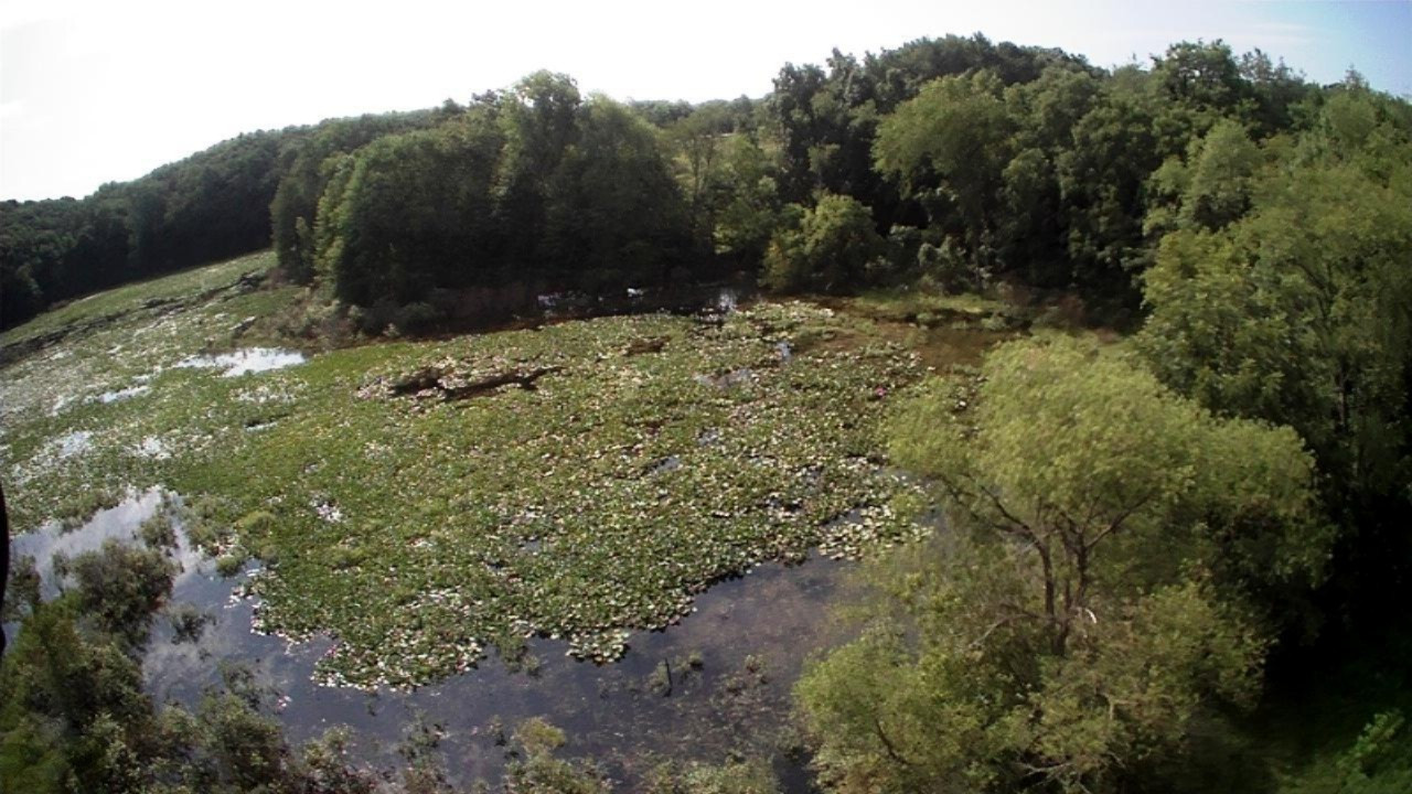 10650 Dutch Settlement Road Marcellus, MI 49067 - Photo 46 of 52 10650 Dutch Settlement Drone photos 018