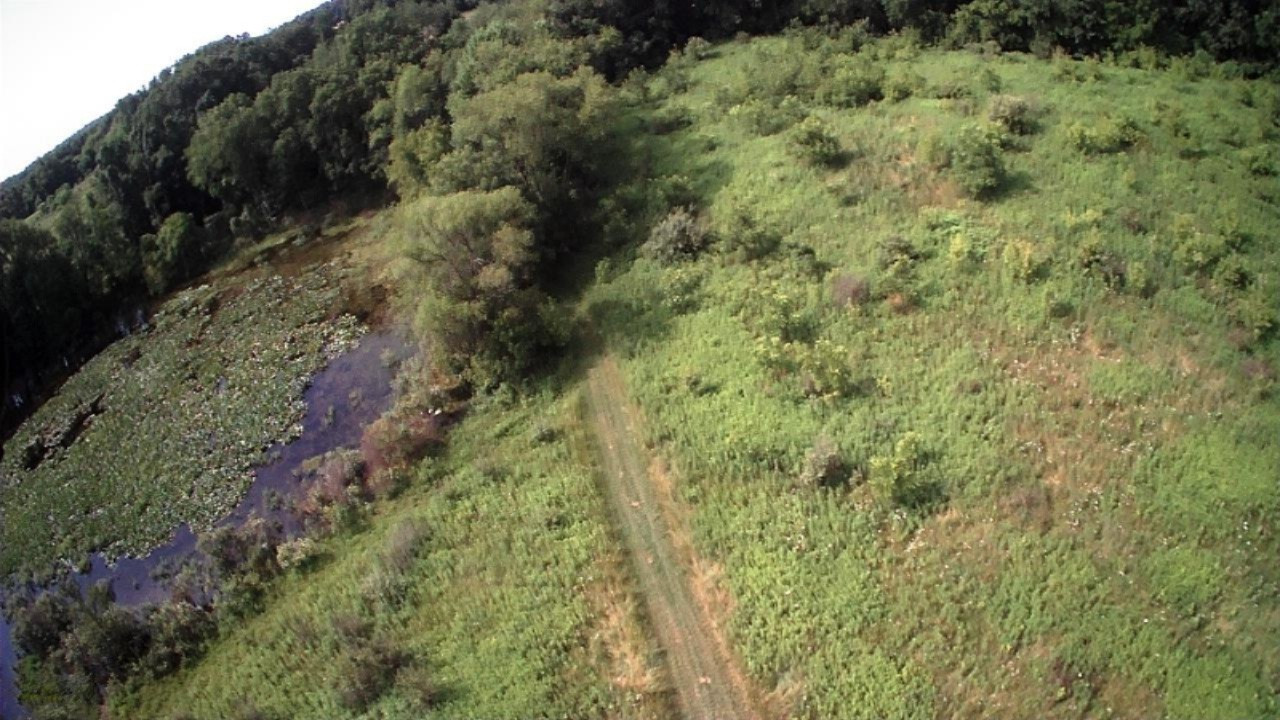 10650 Dutch Settlement Road Marcellus, MI 49067 - Photo 49 of 52 10650 Dutch Settlement Drone photos 022