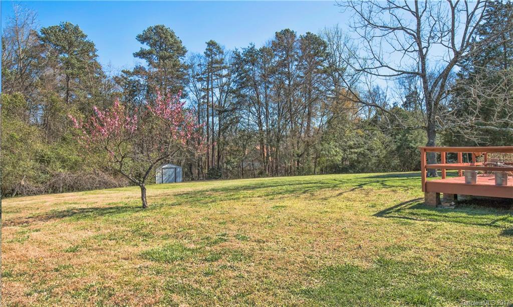 1672 Williams Road Fort Mill, SC 29715 - Photo 21 of 21