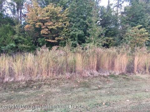 94 Crockett Loop Hernando, MS 38632 - Photo 1 of 5 Lot 94 Morrow 1
