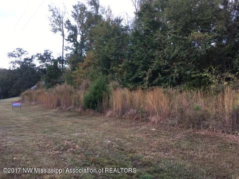 94 Crockett Loop Hernando, MS 38632 - Photo 3 of 5 Lot 94 Morrow 4