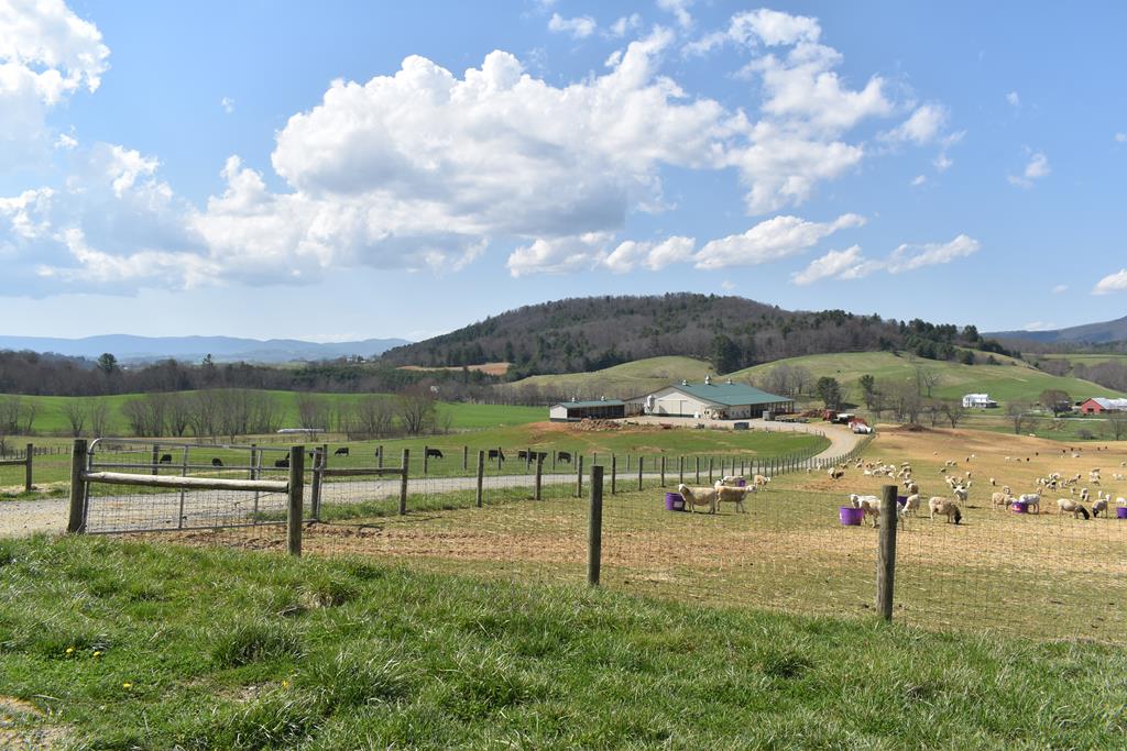 2388 Carsonville Road Independence, VA 24348 - Photo 36 of 64 Gallery Image 36