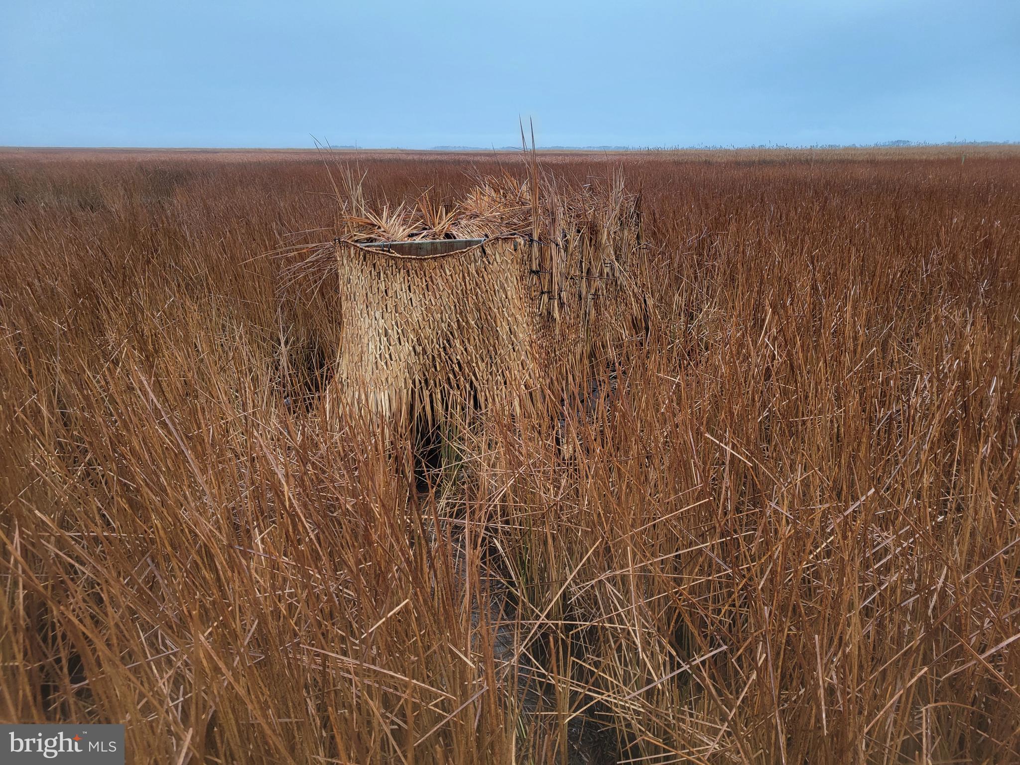 3241 Robbins Road Crapo, MD 21626 - Photo 11 of 35