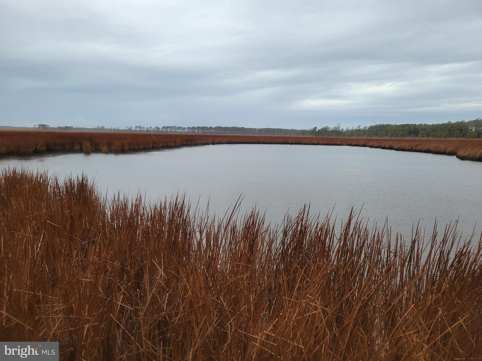 3241 Robbins Road Crapo, MD 21626 - Photo 12 of 35 a view of a lake with a yard