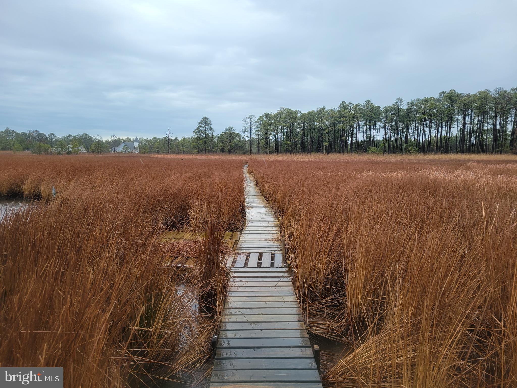 3241 Robbins Road Crapo, MD 21626 - Photo 14 of 35 a view of a lake with houses in the back