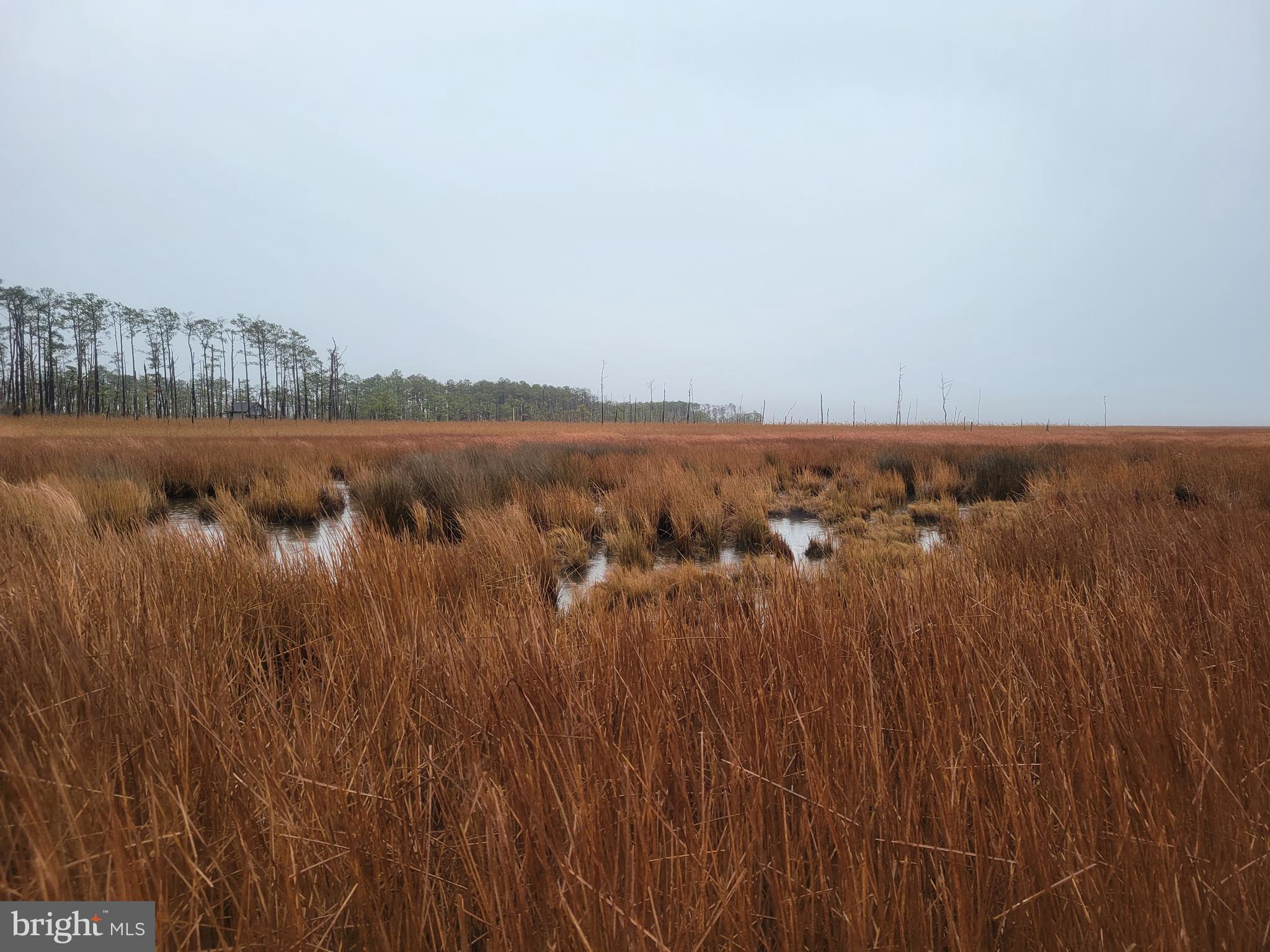 3241 Robbins Road Crapo, MD 21626 - Photo 15 of 35 a view of lake