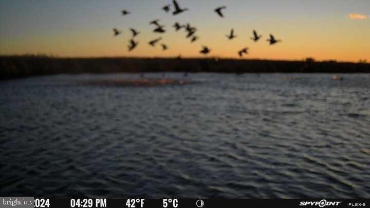 3241 Robbins Road Crapo, MD 21626 - Photo 3 of 35 a view of basement