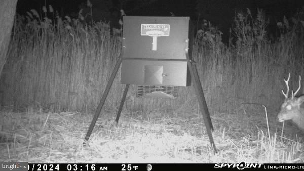 3241 Robbins Road Crapo, MD 21626 - Photo 31 of 35 a view of door