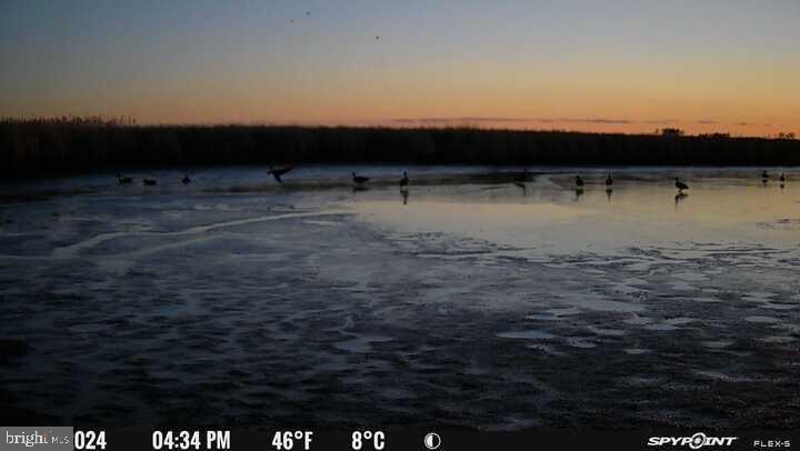 3241 Robbins Road Crapo, MD 21626 - Photo 35 of 35 a view of lake with mountain view
