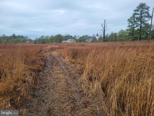 a view of a lake with houses in the back