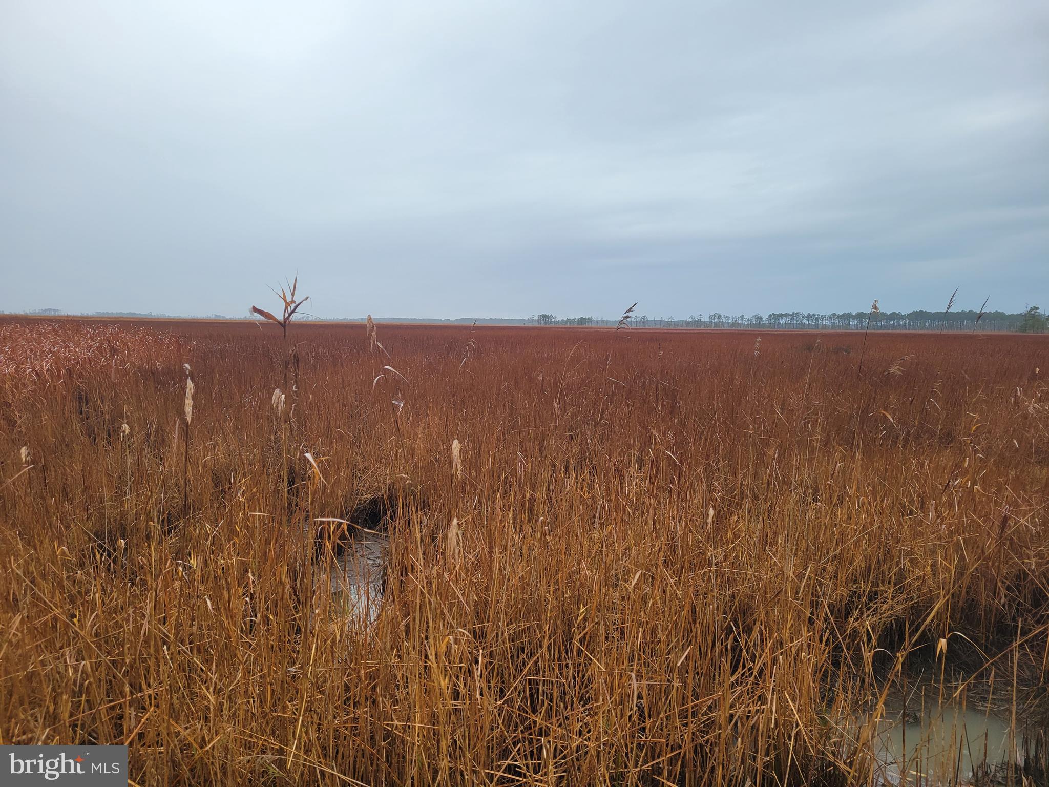 3241 Robbins Road Crapo, MD 21626 - Photo 7 of 35 a view of lake and mountain
