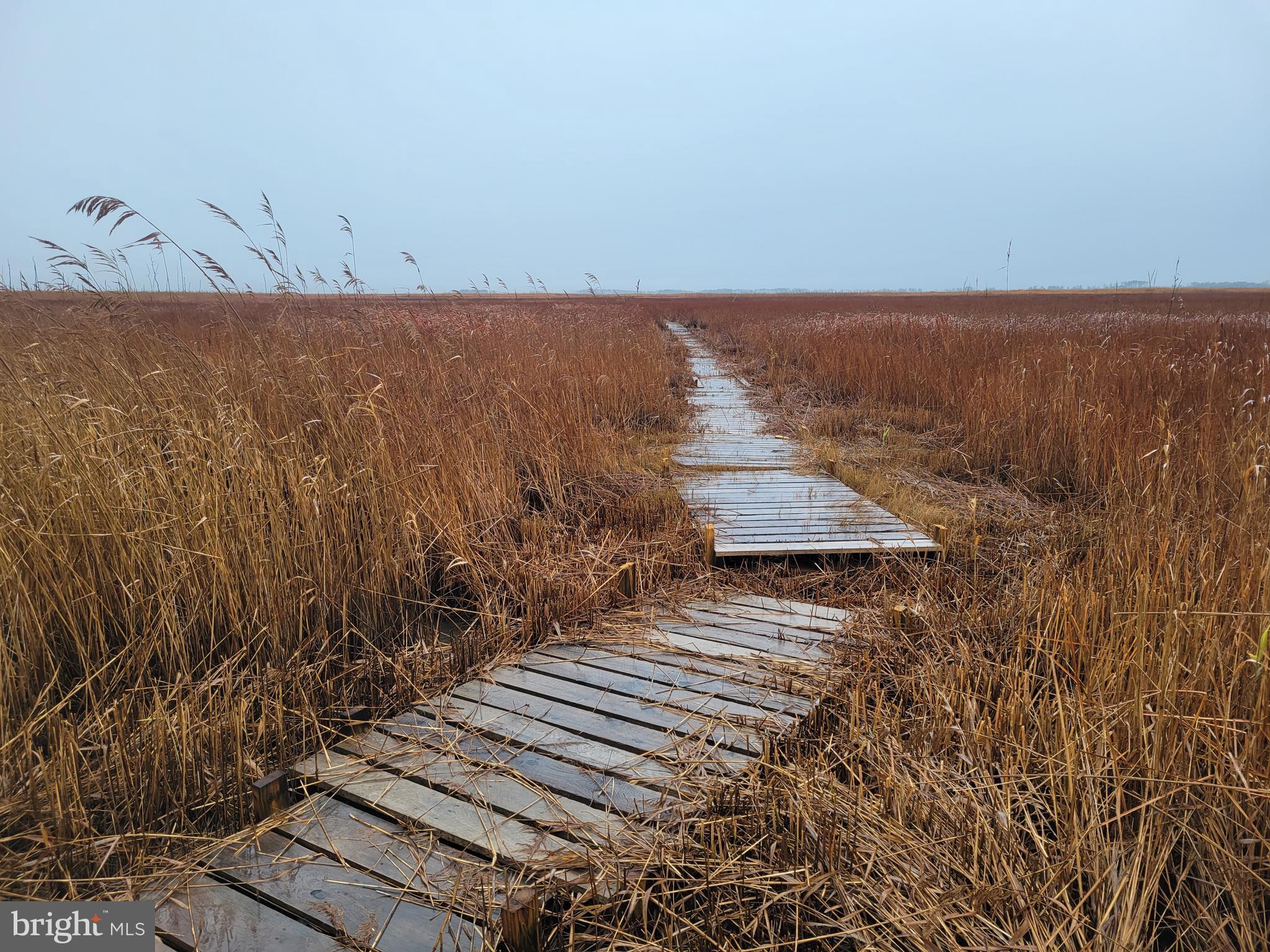 3241 Robbins Road Crapo, MD 21626 - Photo 8 of 35 a view of an ocean