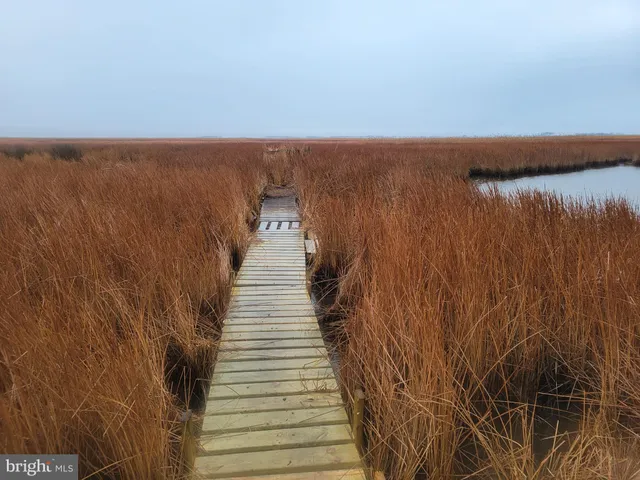 a view of a lake with a yard