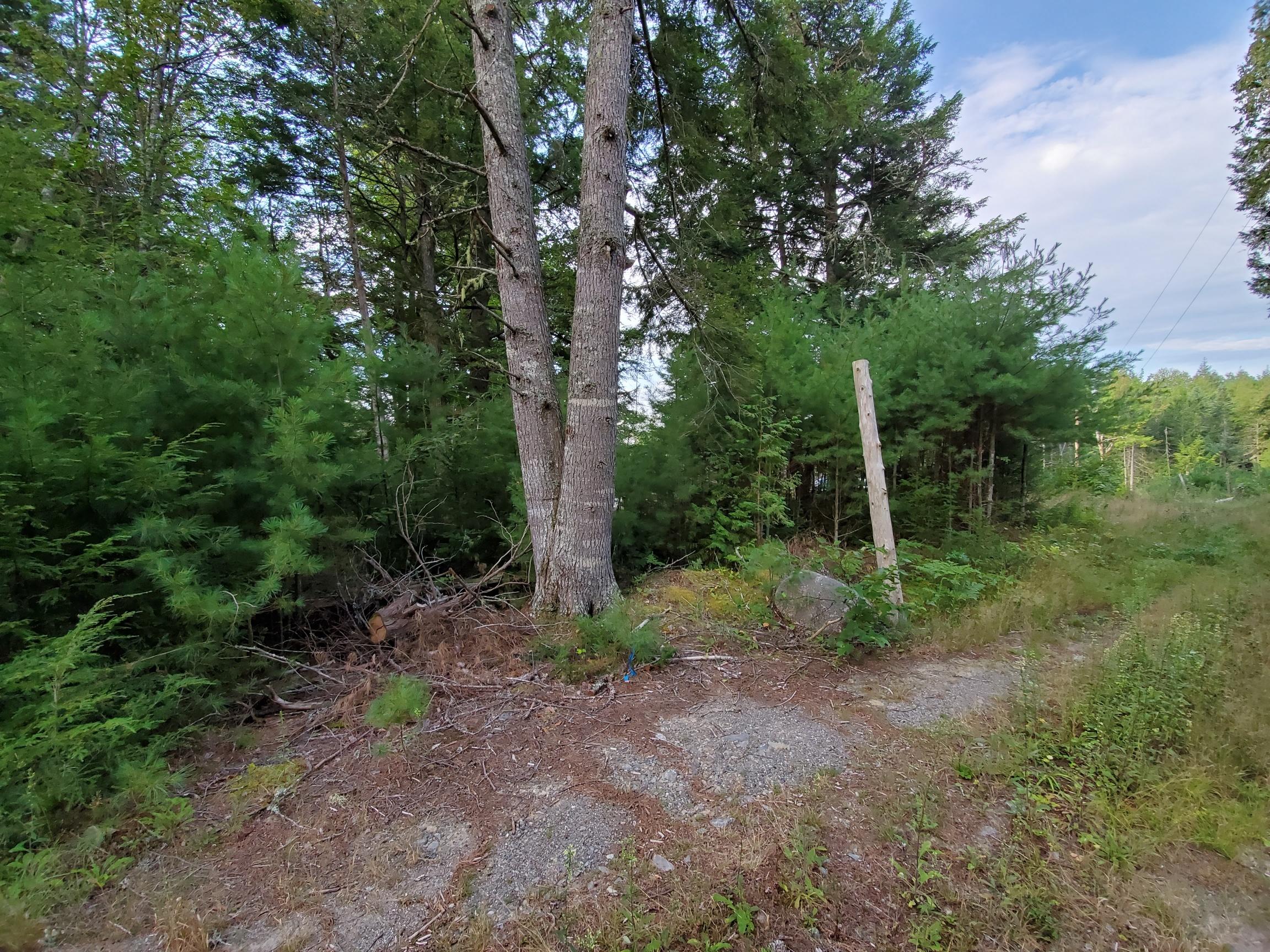 Lot 1 North Little Pond Road Aurora, ME 04408 - Photo 18 of 21 20200824_073845_resized