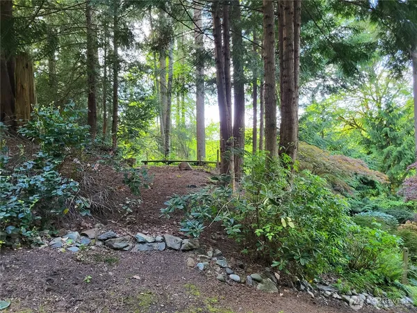 a view of outdoor space and trees
