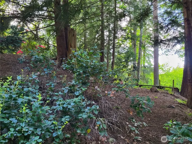 a view of a yard with plants and trees