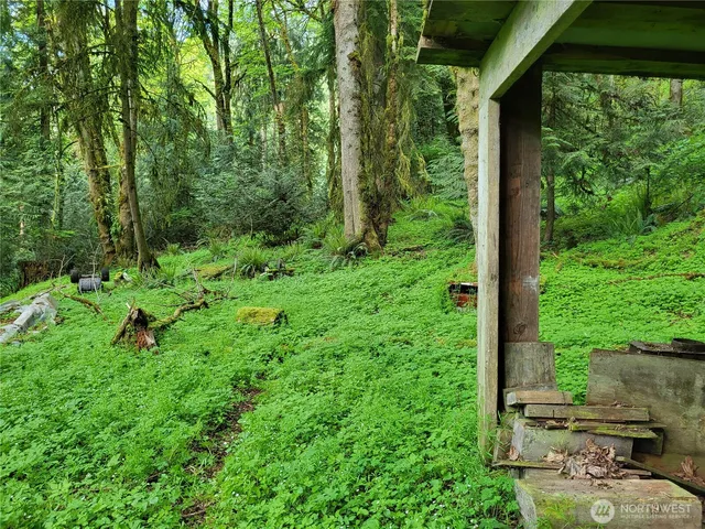 a view of backyard with green space
