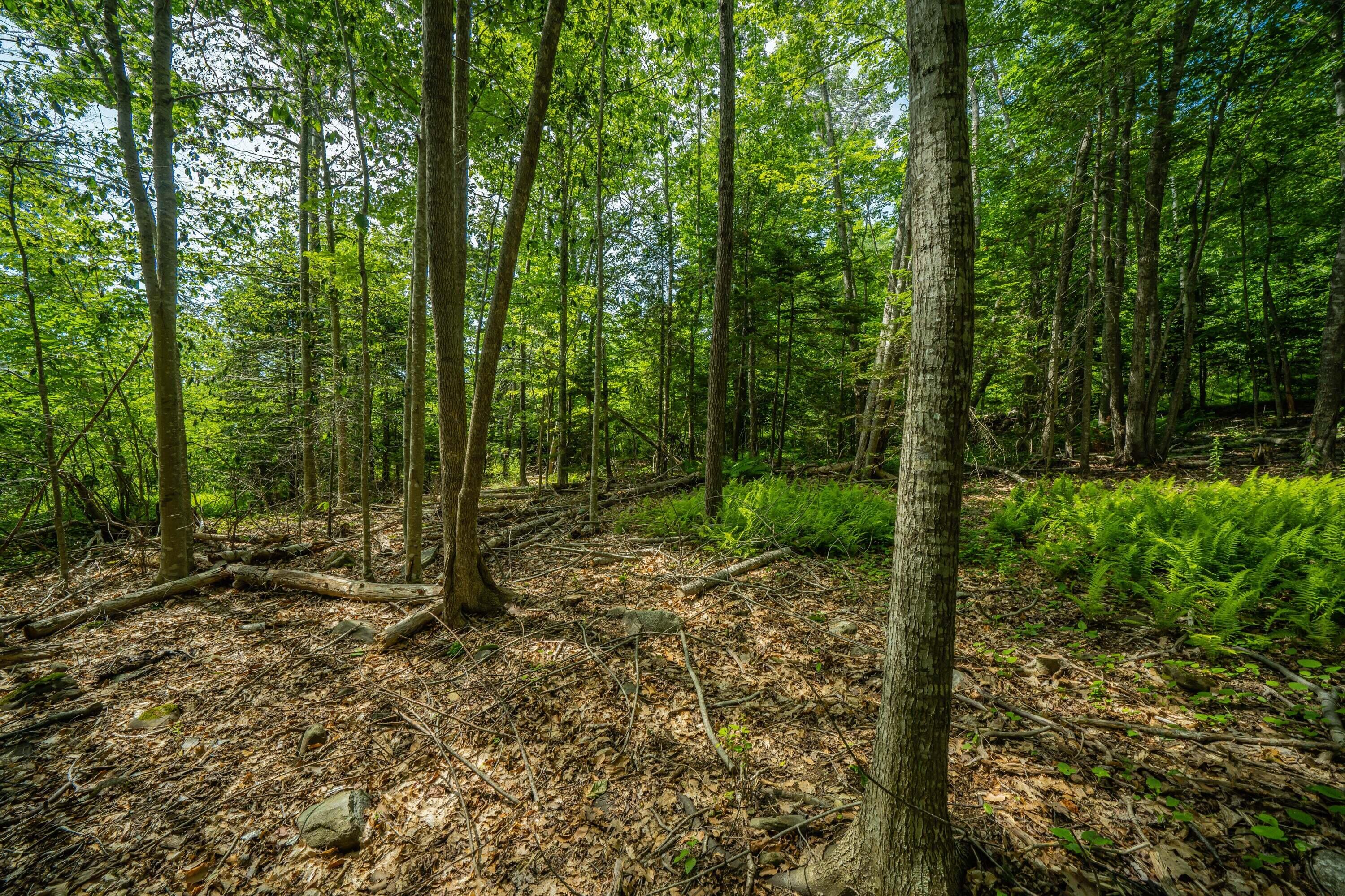 0 Bayview Drive Northport, ME 04849 - Photo 12 of 12 image