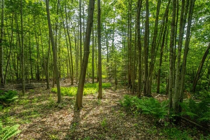 0 Bayview Drive Northport, ME 04849 - Photo 10 of 12 image