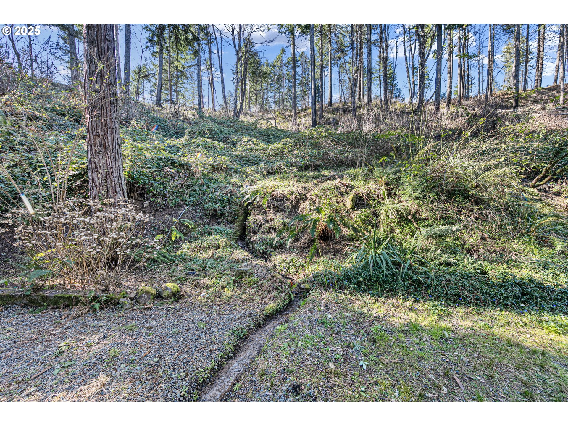 44531 McKenzie Highway Leaburg, OR 97489 - Photo 31 of 48 a view of outdoor space and yard