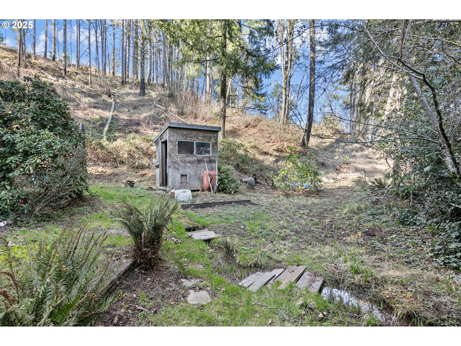 44531 McKenzie Highway Leaburg, OR 97489 - Photo 32 of 48 a backyard of a house with large trees