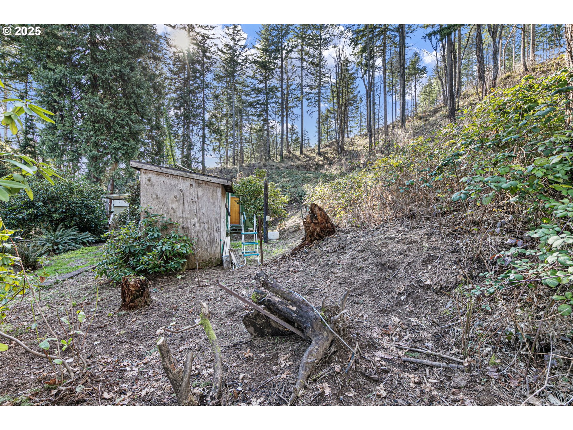 44531 McKenzie Highway Leaburg, OR 97489 - Photo 34 of 48 a backyard of a house with lots of green space