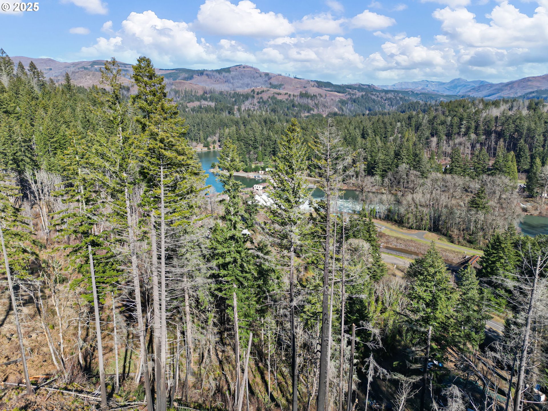 44531 McKenzie Highway Leaburg, OR 97489 - Photo 39 of 48 a view of a city with lush green forest