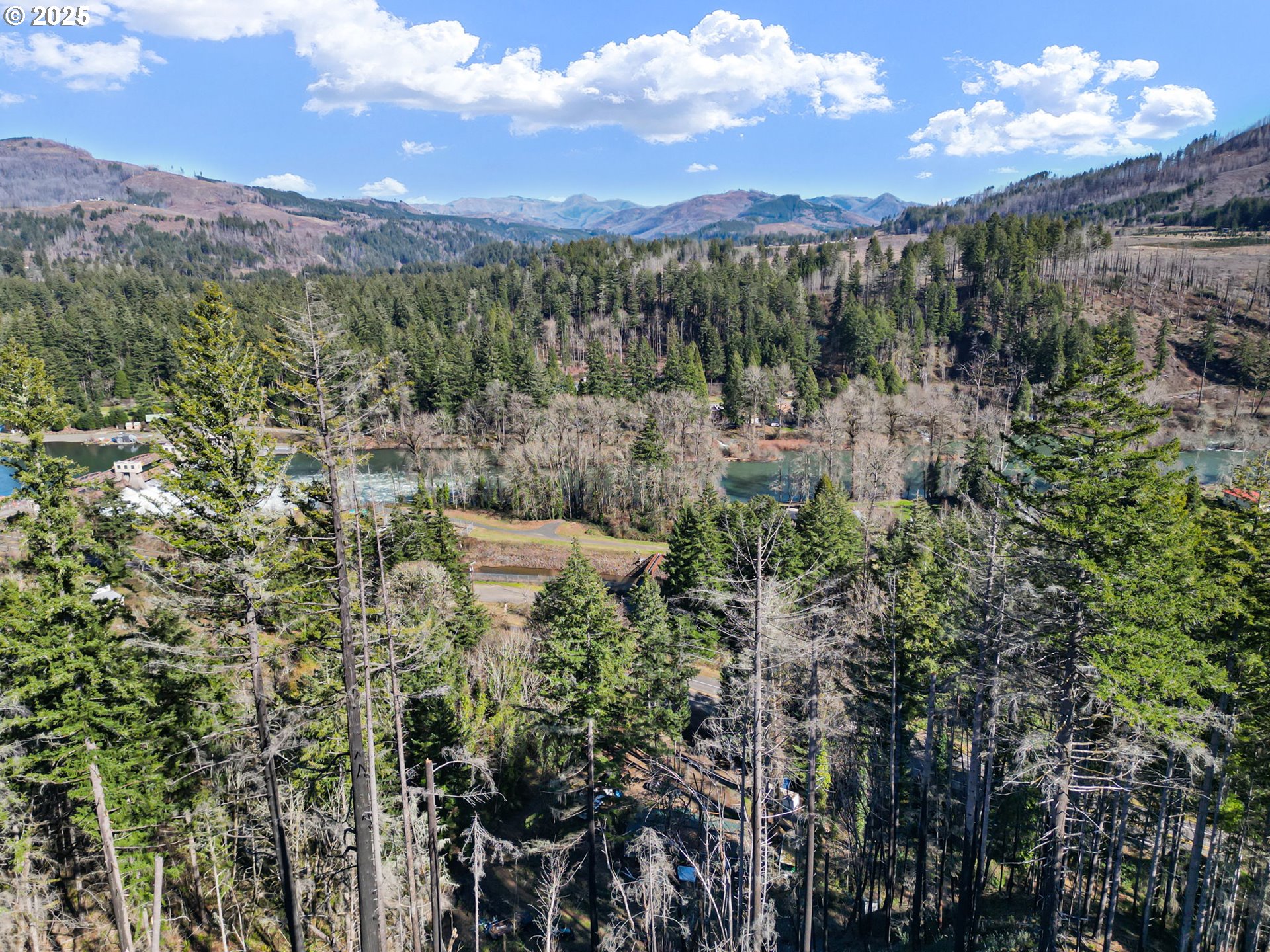 44531 McKenzie Highway Leaburg, OR 97489 - Photo 40 of 48