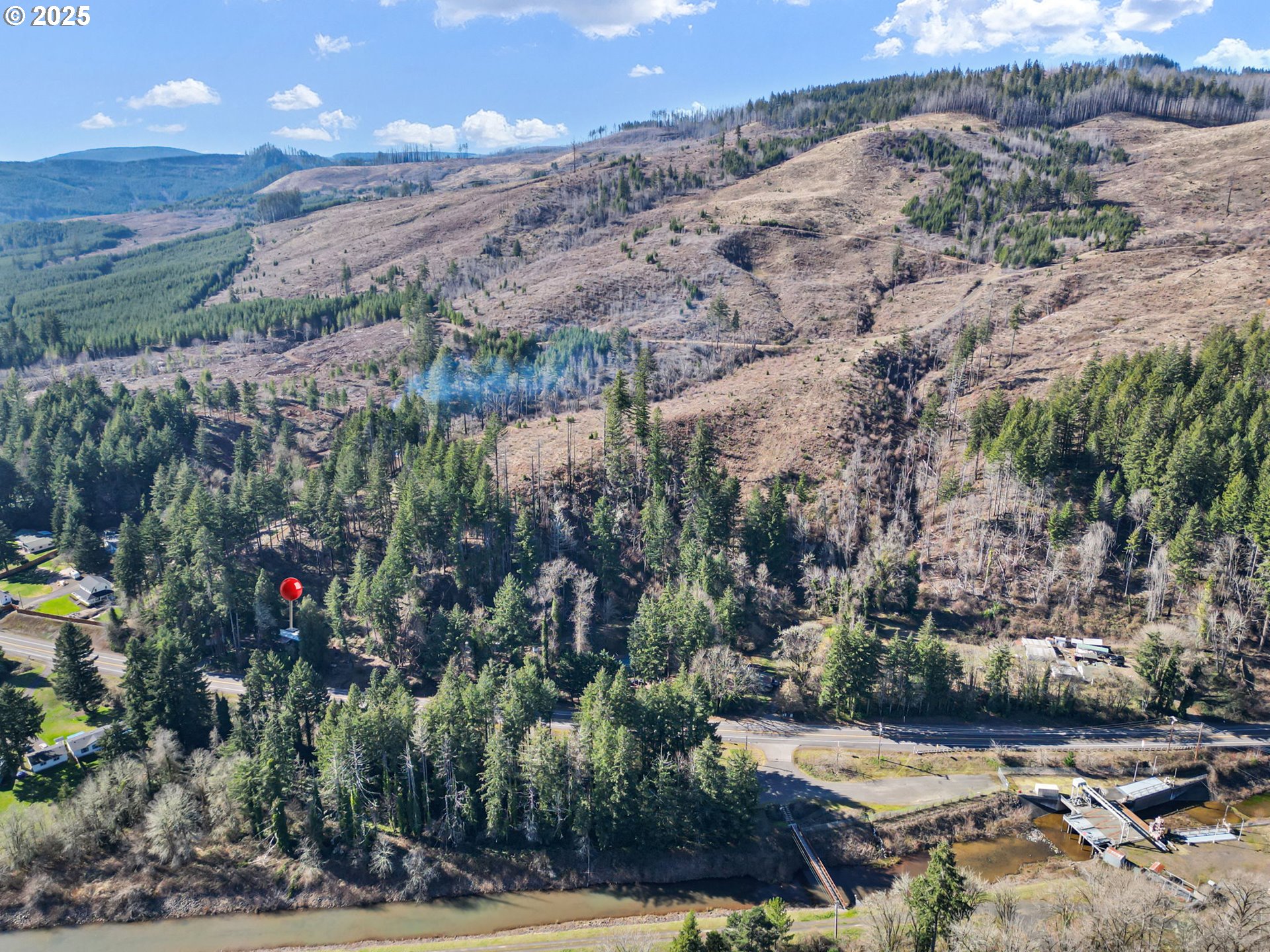 44531 McKenzie Highway Leaburg, OR 97489 - Photo 45 of 48 a view of street with lots of trees