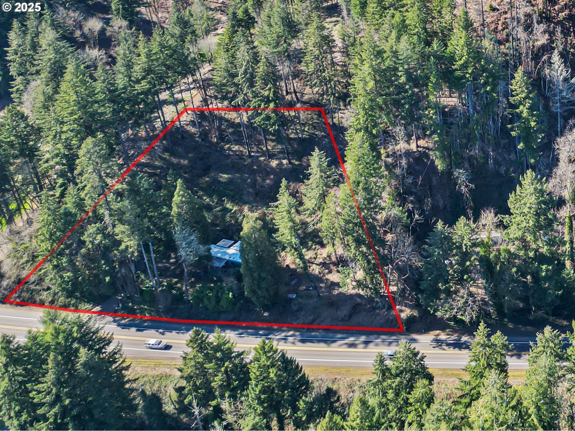 44531 McKenzie Highway Leaburg, OR 97489 - Photo 47 of 48 a view of a pathway with a tree