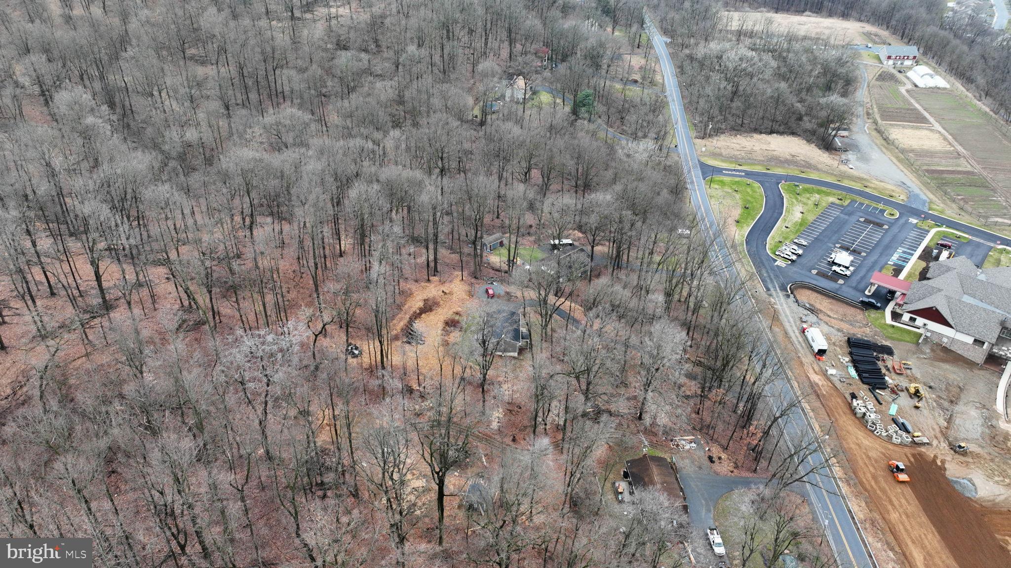 116 Ironmaster Road Lebanon, PA 17042 - Photo 62 of 64 Serene woodland retreat awaits development.