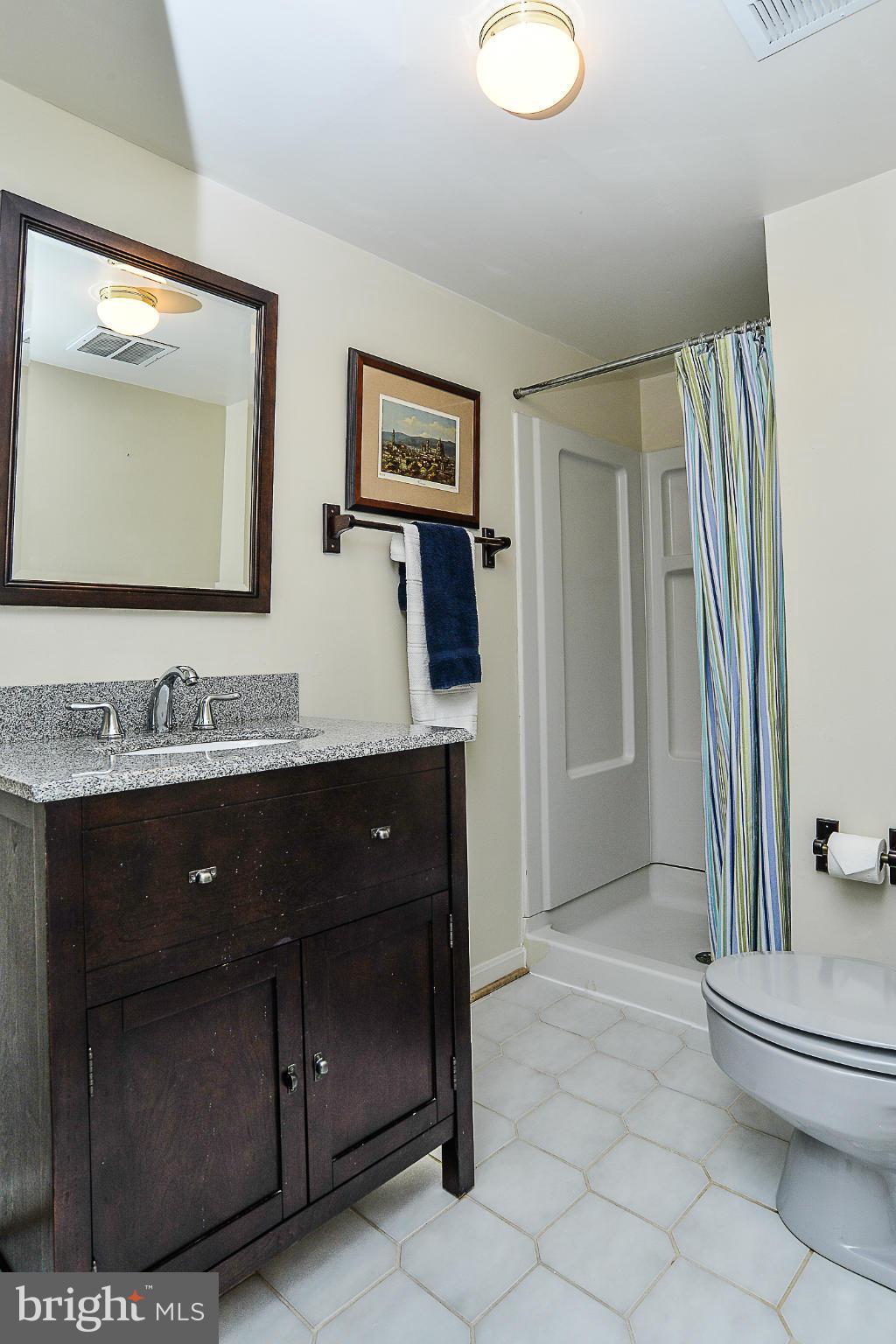 3815 Inverness Road Fairfax, VA 22033 - Photo 24 of 30 Lower Level Full Bath