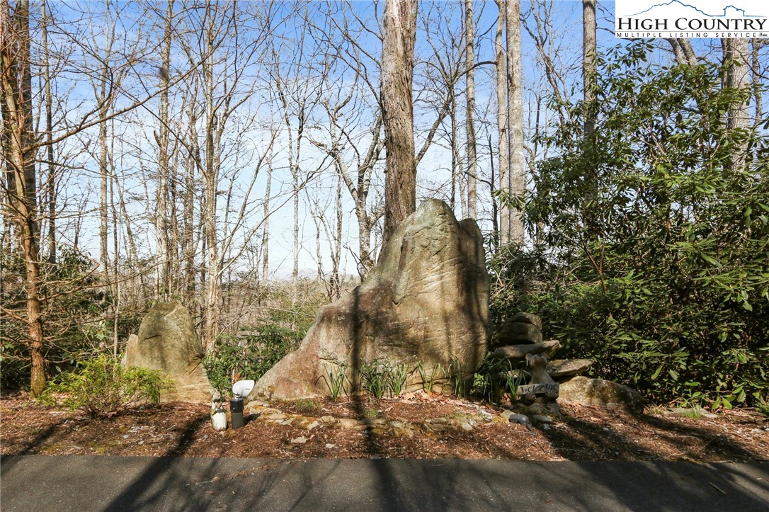 275 Newbiggin Boone, NC 28607 - Photo 48 of 50 Gallery Image 48