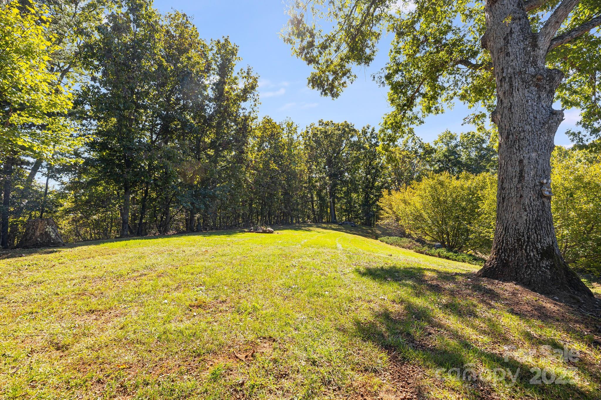 1387 Woods Ammons Road Mars Hill, NC 28754 - Photo 38 of 48 a view of swimming pool with an outdoor space