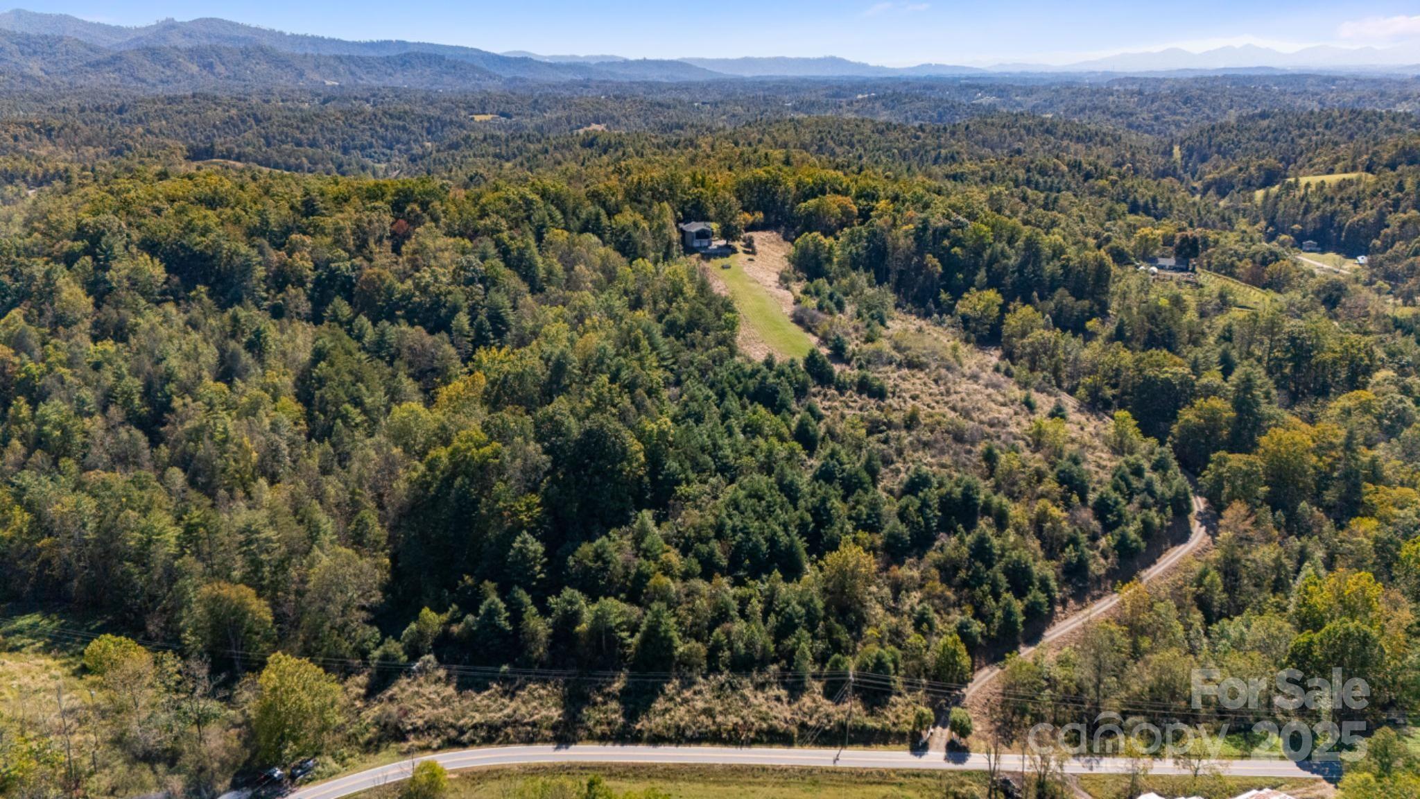 1387 Woods Ammons Road Mars Hill, NC 28754 - Photo 41 of 48 an aerial view of residential house and outdoor space
