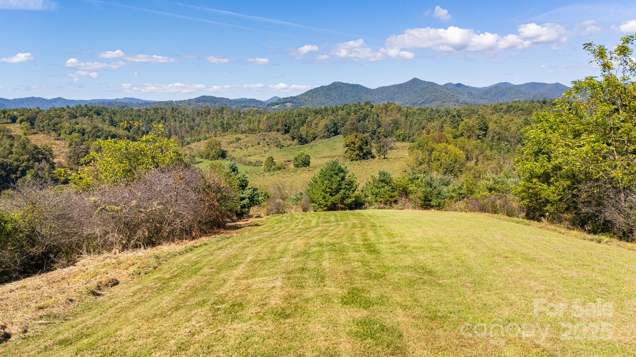 1387 Woods Ammons Road Mars Hill, NC 28754 - Photo 47 of 48