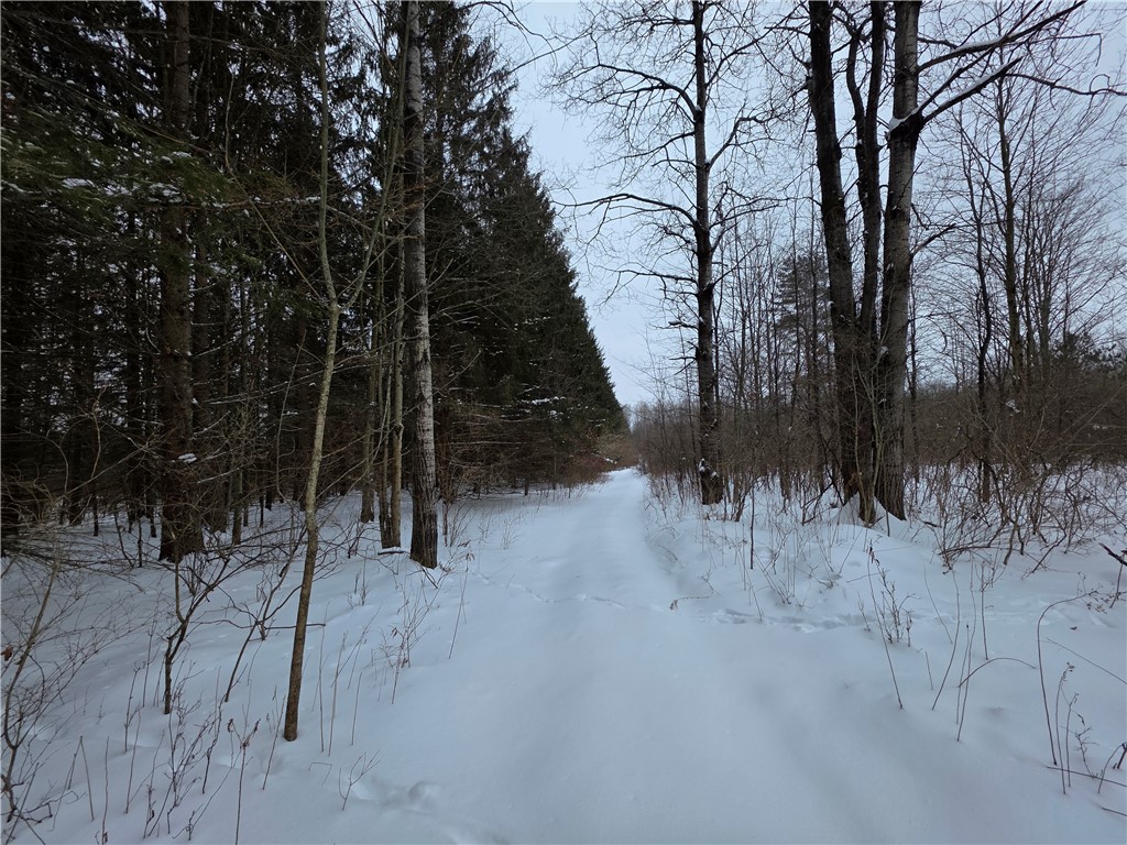 8486 Saunders Road Caneadea, NY 14711 - Photo 32 of 49