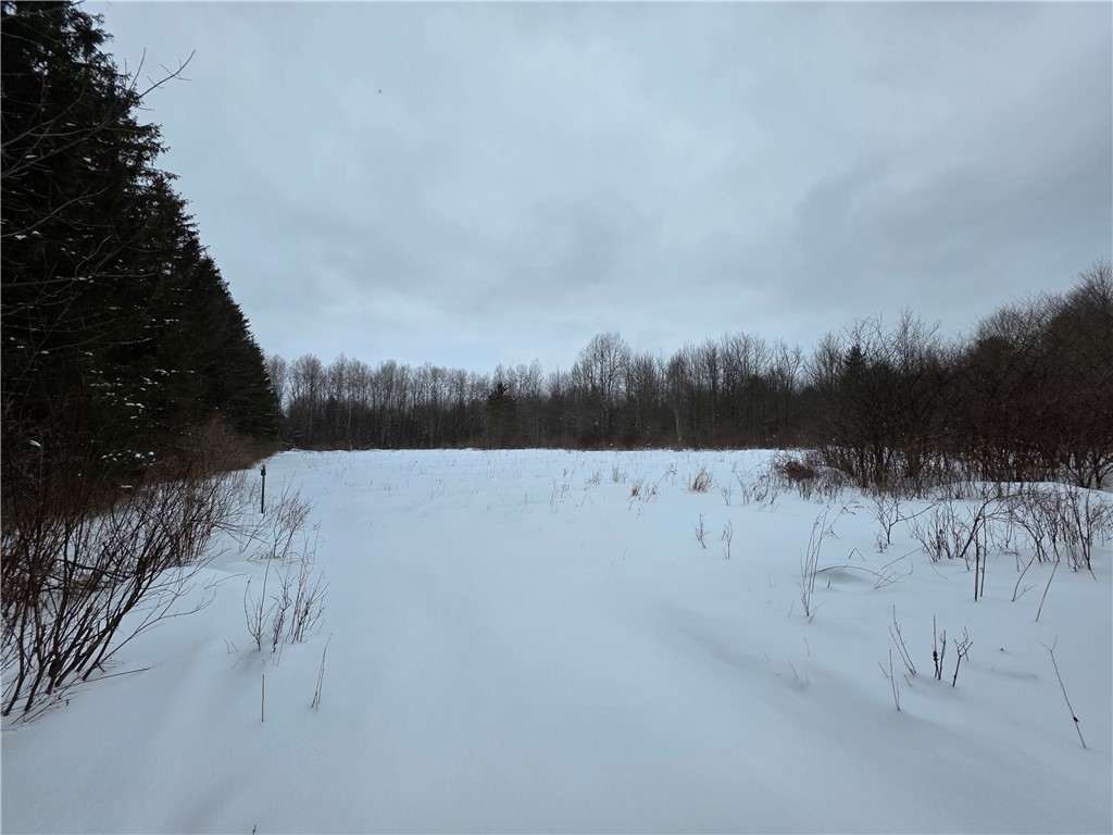 8486 Saunders Road Caneadea, NY 14711 - Photo 33 of 49