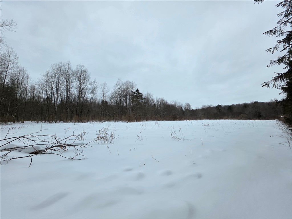 8486 Saunders Road Caneadea, NY 14711 - Photo 36 of 49