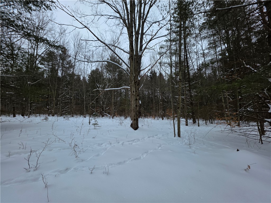 8486 Saunders Road Caneadea, NY 14711 - Photo 39 of 49