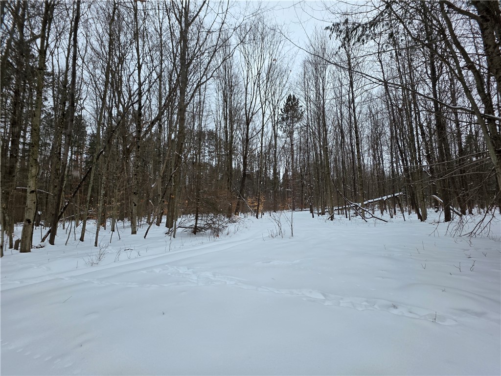 8486 Saunders Road Caneadea, NY 14711 - Photo 40 of 49