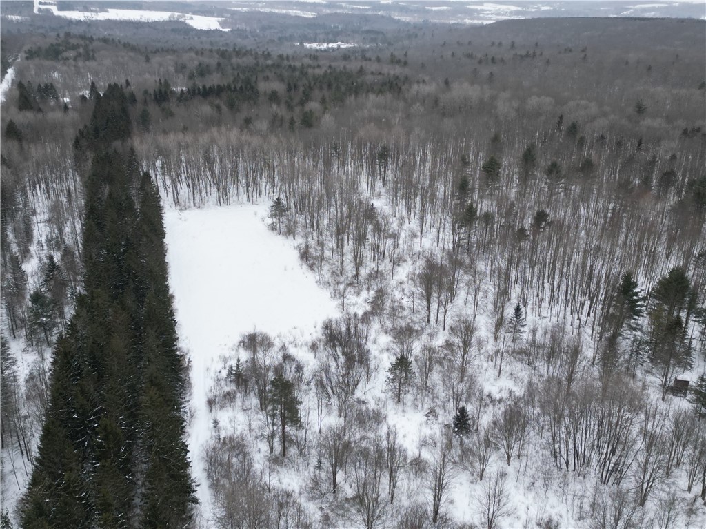 8486 Saunders Road Caneadea, NY 14711 - Photo 43 of 49