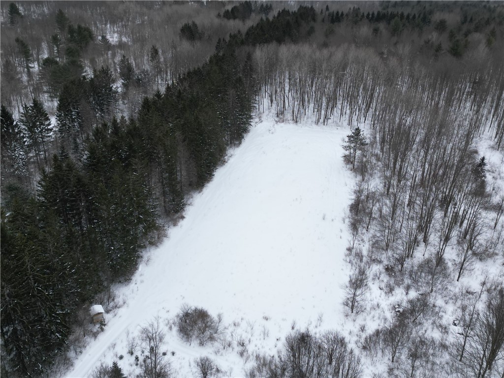 8486 Saunders Road Caneadea, NY 14711 - Photo 44 of 49