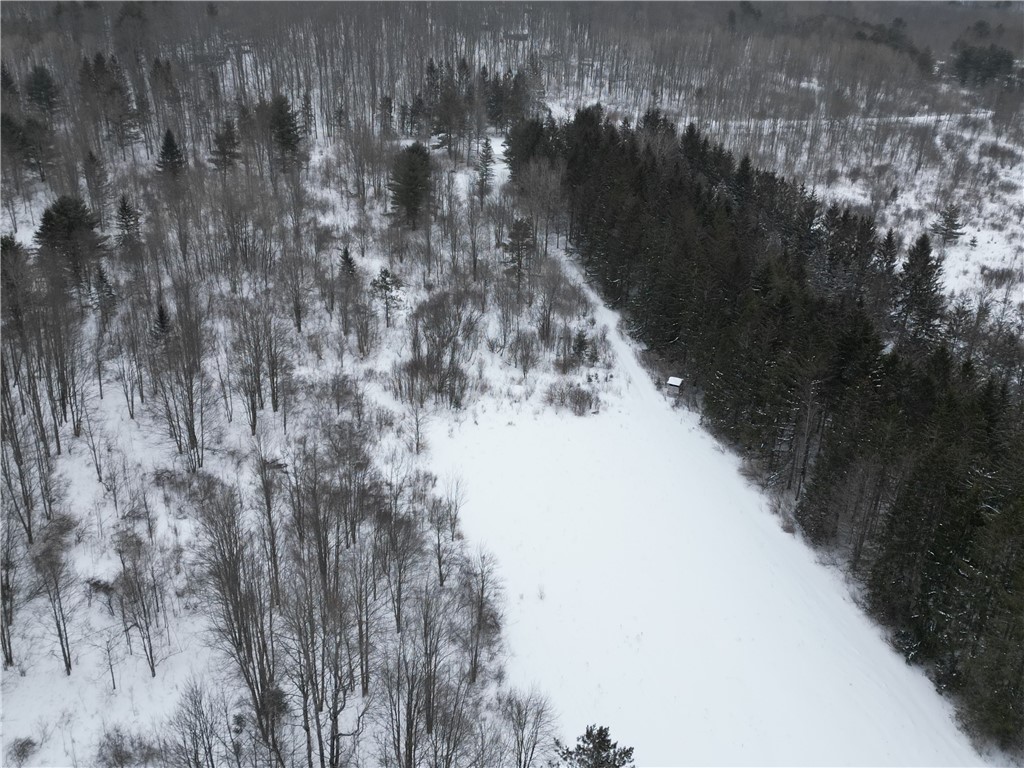 8486 Saunders Road Caneadea, NY 14711 - Photo 45 of 49