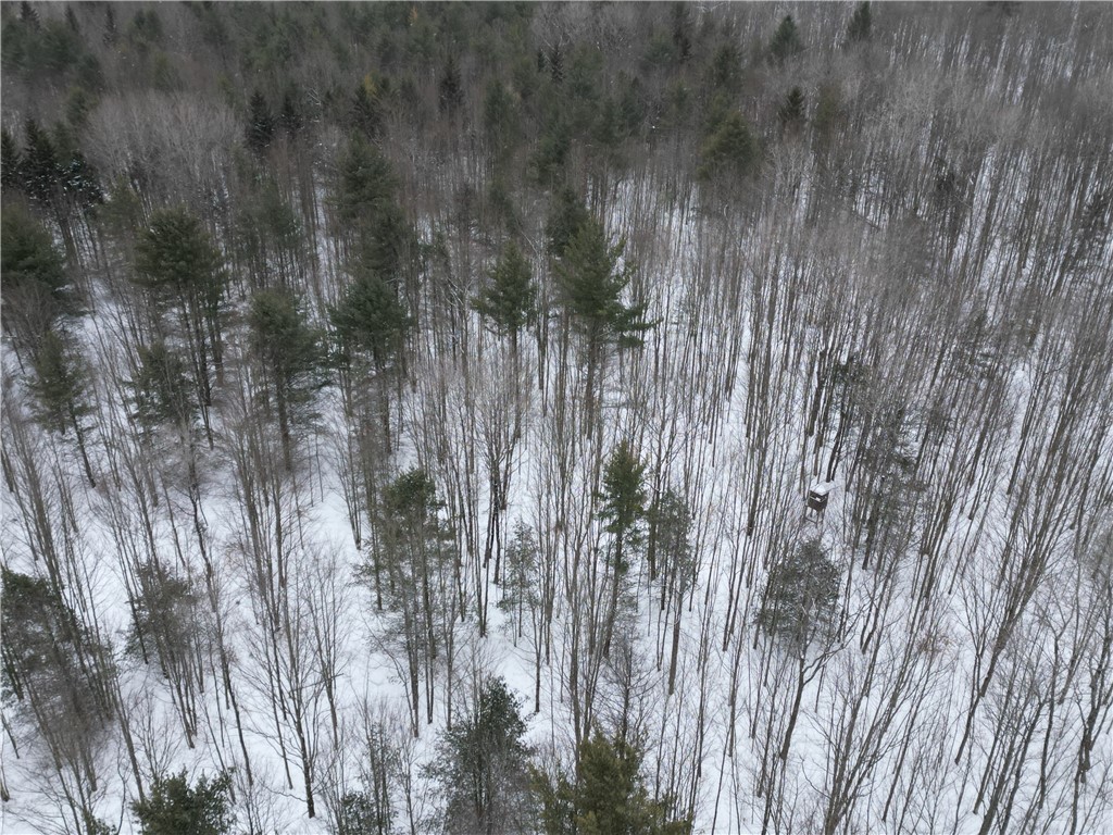 8486 Saunders Road Caneadea, NY 14711 - Photo 46 of 49