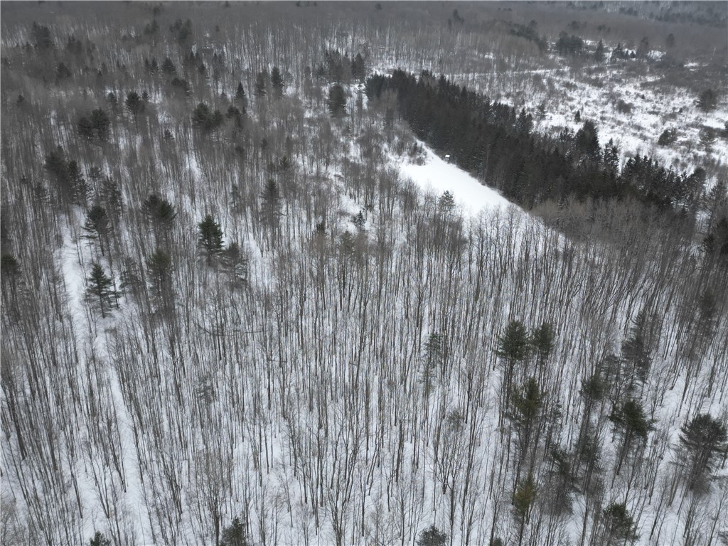 8486 Saunders Road Caneadea, NY 14711 - Photo 47 of 49