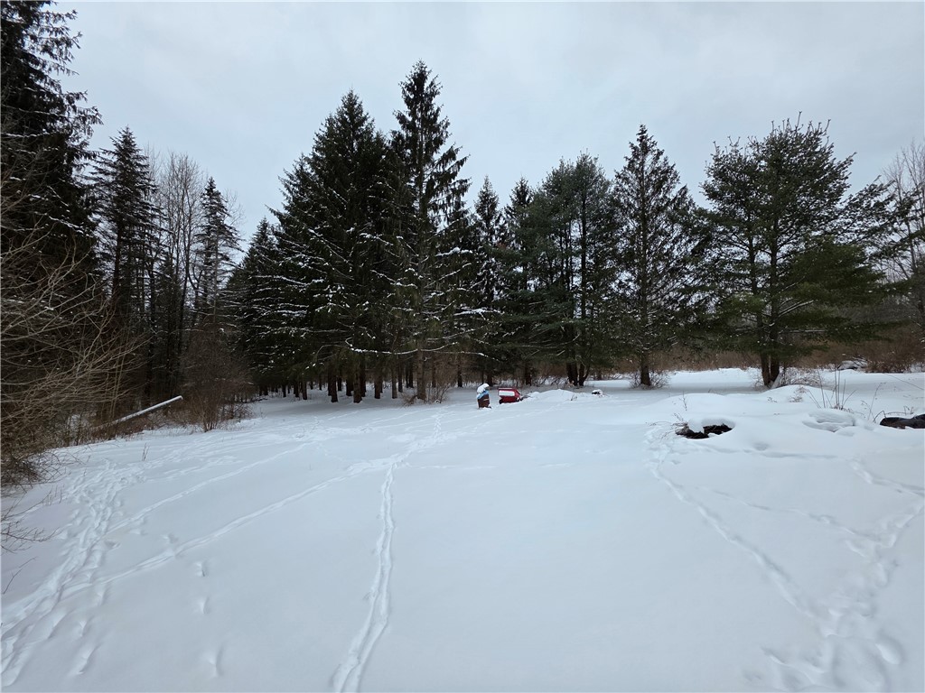 8486 Saunders Road Caneadea, NY 14711 - Photo 5 of 49