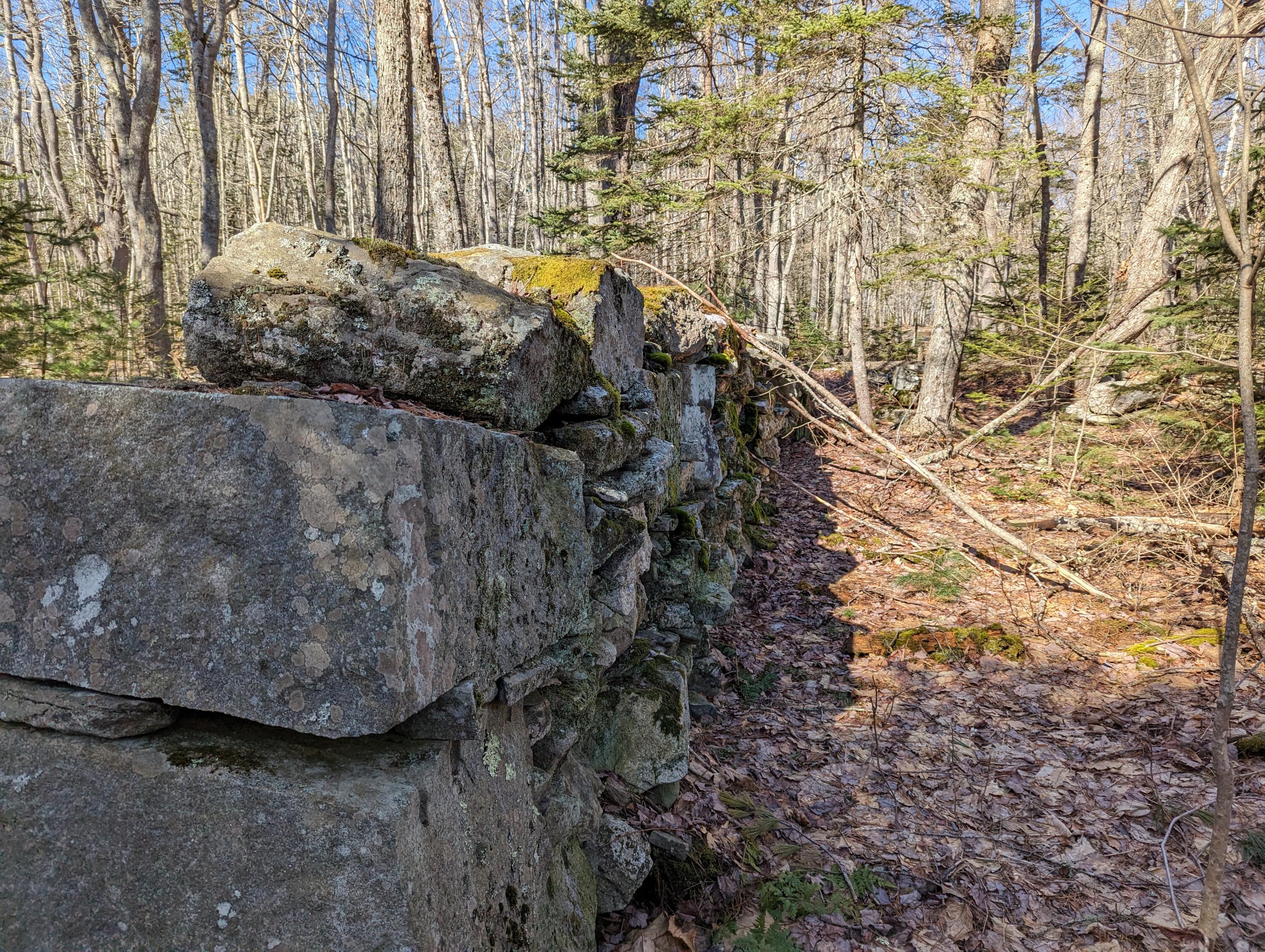 Lot 2 Churches Point Road Round Pond, ME 04564 - Photo 22 of 23 PXL_20230327_140055268