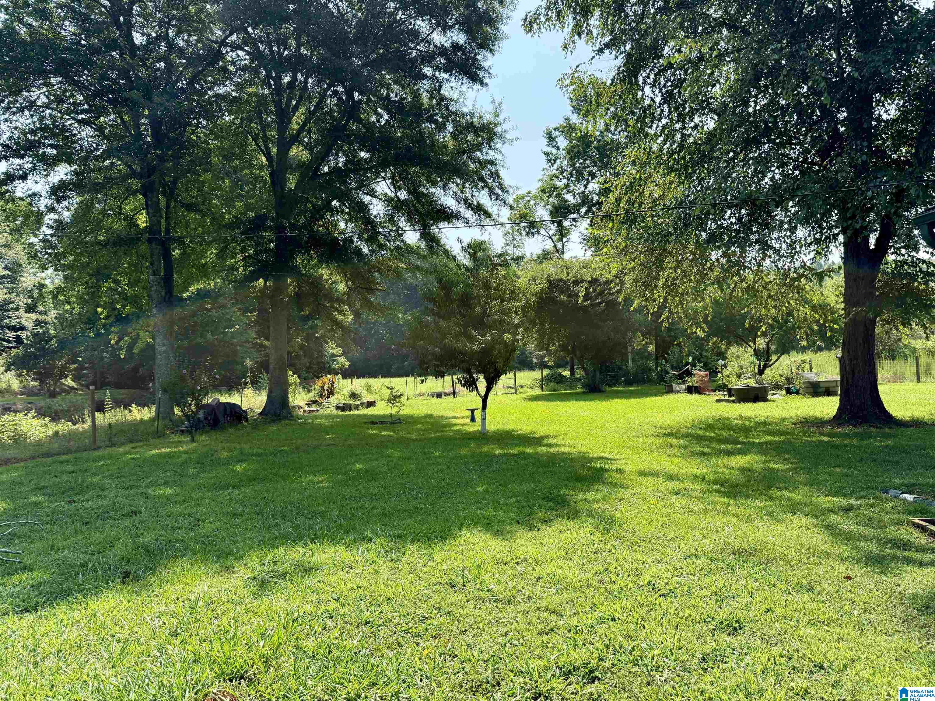 780 Lost Creek Road Delta, AL 36258 - Photo 14 of 50 Gallery Image 14