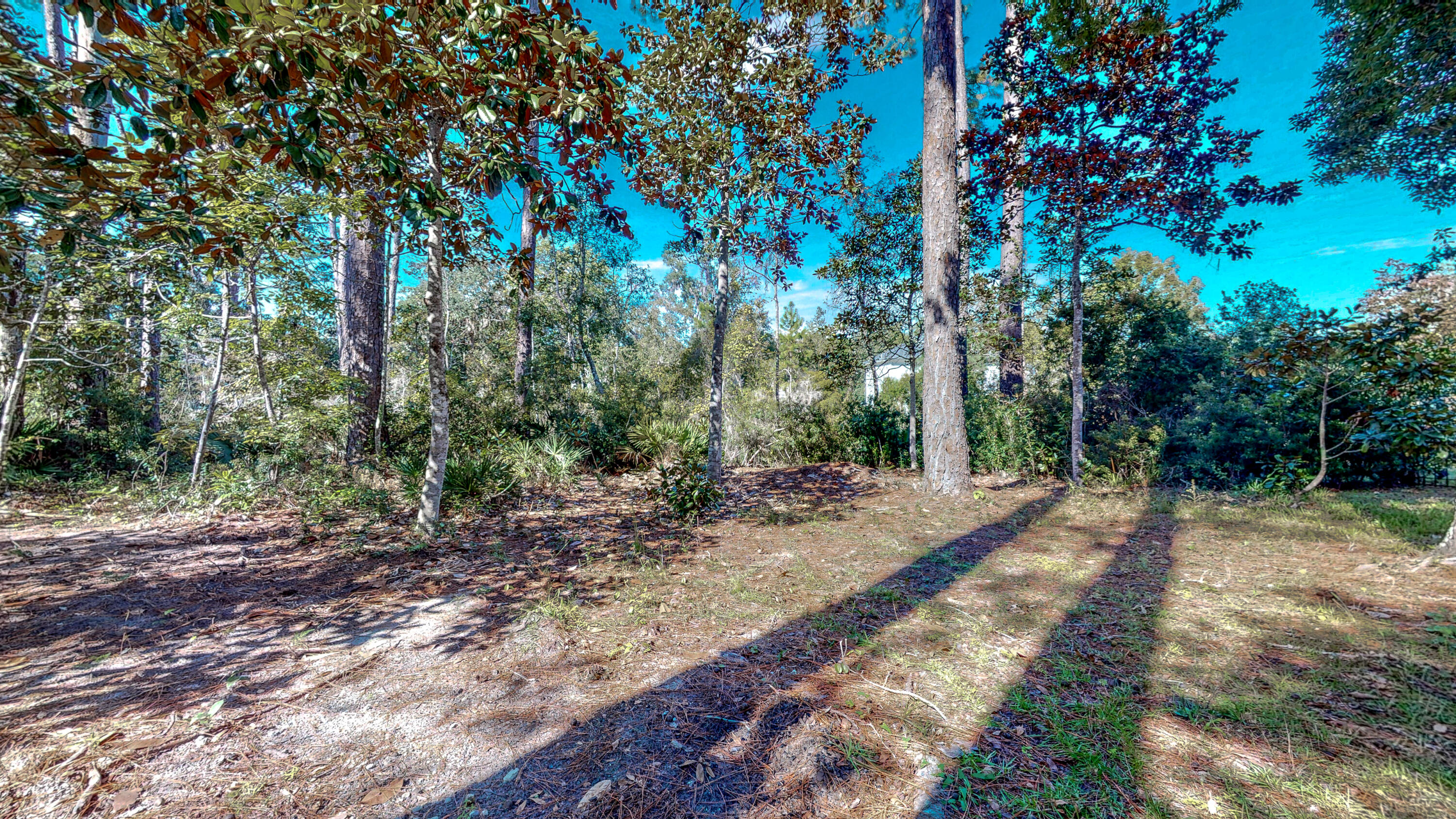 23 Beacon Point Drive Santa Rosa Beach, FL 32459 - Photo 24 of 33 a view of a backyard with trees